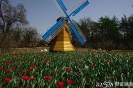 哈尔滨植物园爆料案件最新,惊现神秘命案，真相扑朔迷离！